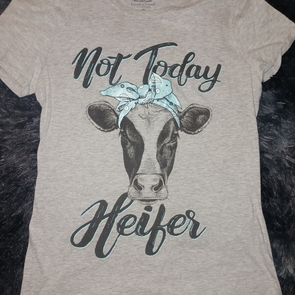 Nice shirt - Picture 3 of 3